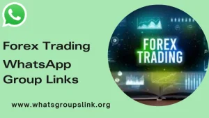 Forex Trading Whatsapp group Links feature Image